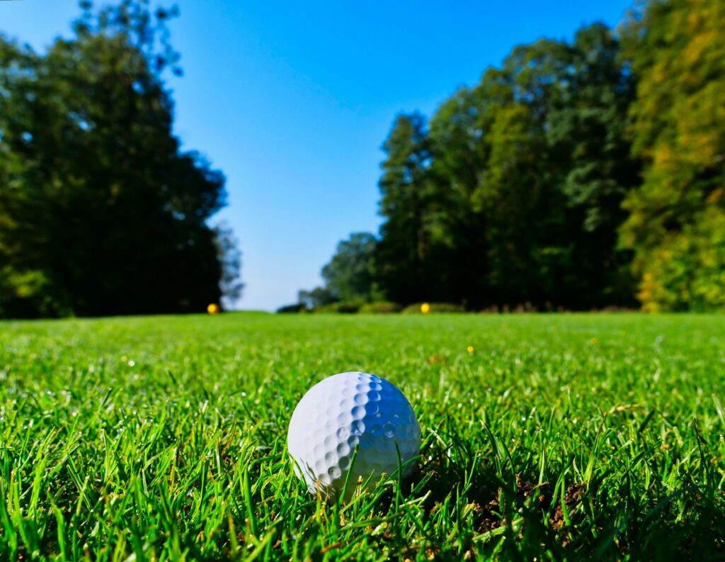 What Is the Fourth Hole explained through a golf course view featuring tee box, hazards, and putting green