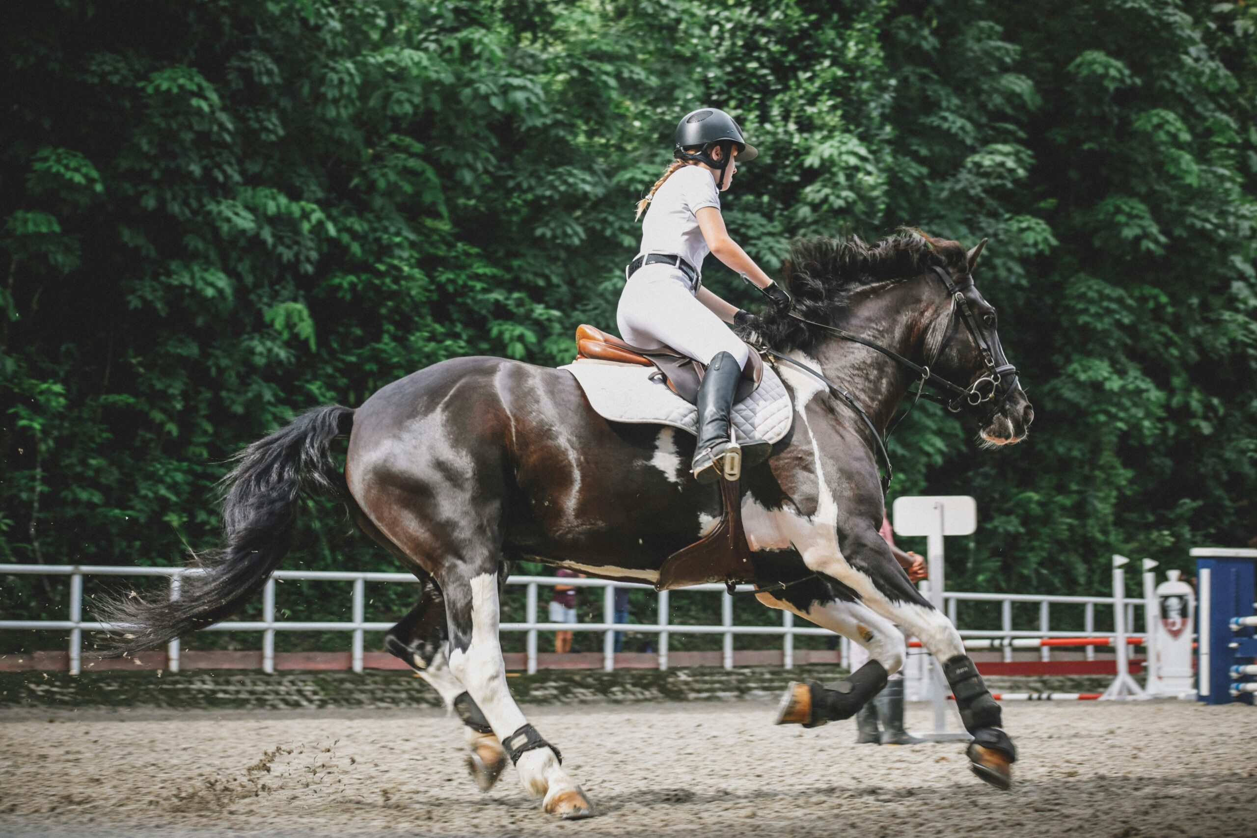 Can You Get a DUI on a Horse? 7 Important Facts About Riding Under the Influence Laws