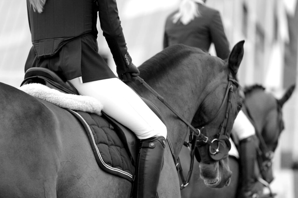 Can You Get a DUI on a Horse? covering intoxication laws, horseback travel, legal exceptions, criminal charges, and riding safety.