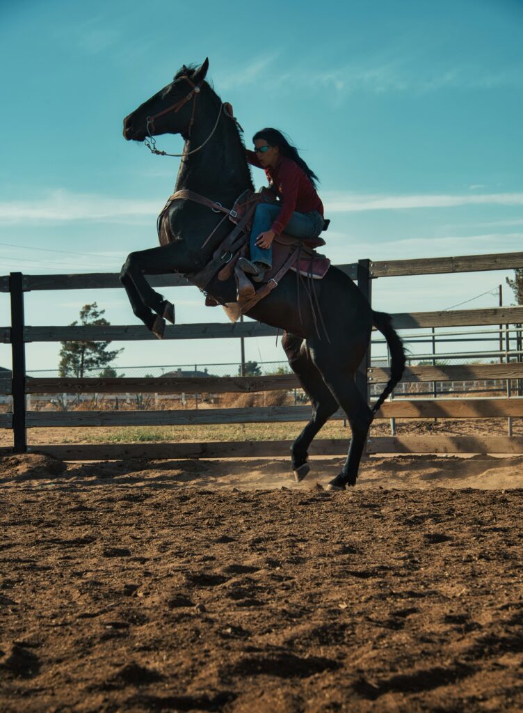 Can You Get a DUI on a Horse? guide to riding under the influence, state regulations, legal consequences, horseback travel, and public safety.